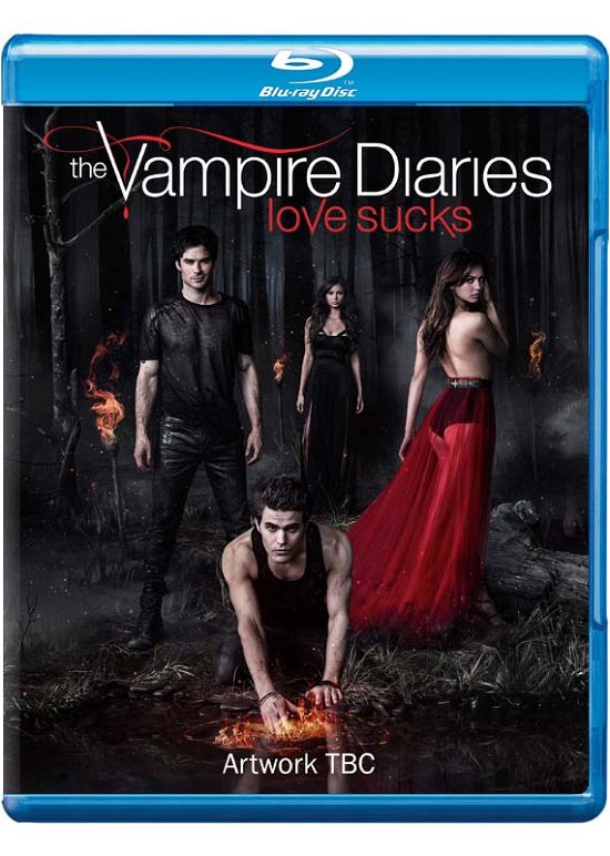 Vampire Diaries: Complete Season 5 - Vampire Diaries: Complete Season 5 - Filme - WARNER BROTHERS - 5051892163385 - 7. November 2014
