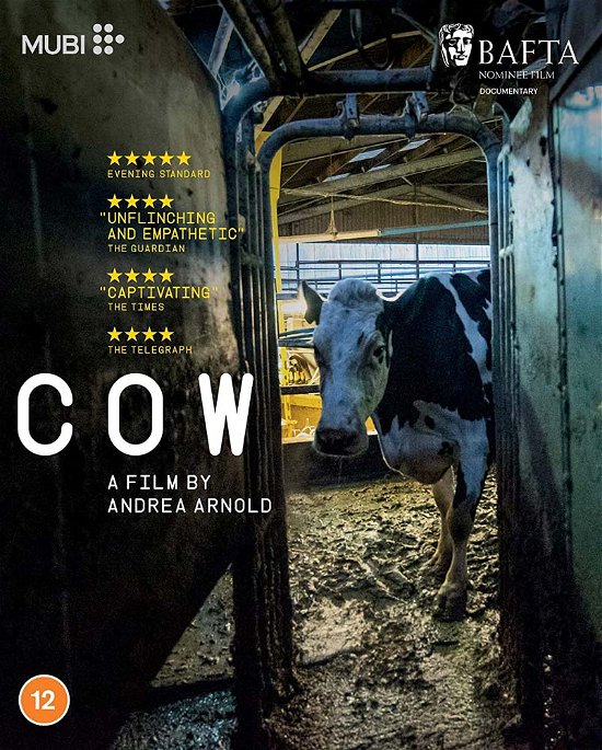 Cover for Andrea Arnold · Cow (Blu-ray) (2022)