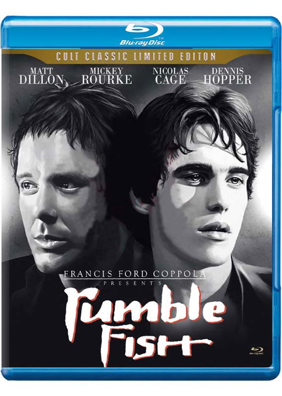 Cover for Rumble Fish (Blu-Ray) [Limited edition] (2022)