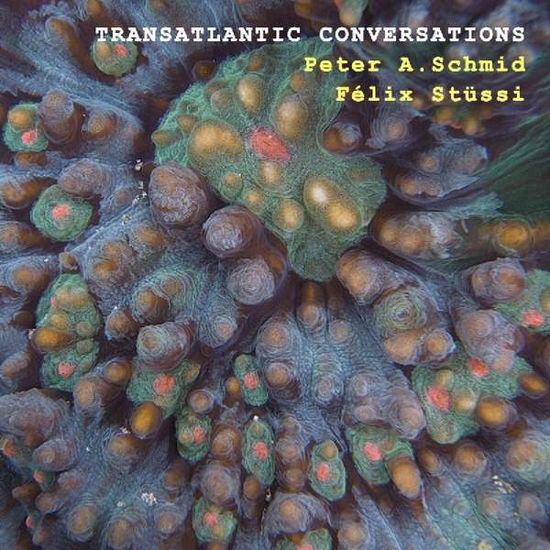 Cover for Schmid Peter · Transatlantic Conversations (CD) (2017)