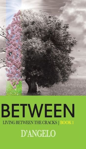 Cover for D'Angelo · Between (Innbunden bok) (2020)