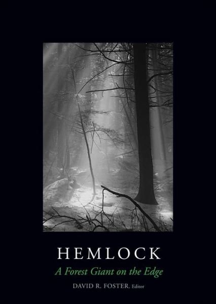 Cover for Anthony D'Amato · Hemlock: A Forest Giant on the Edge (Gebundenes Buch) (2014)