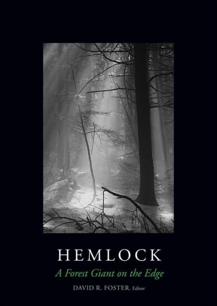 Cover for Anthony D'Amato · Hemlock: A Forest Giant on the Edge (Hardcover Book) (2014)