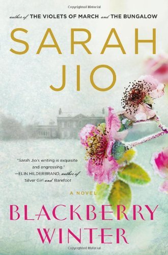 Cover for Sarah Jio · Blackberry Winter: a Novel (Paperback Bog) [1 Original edition] (2012)