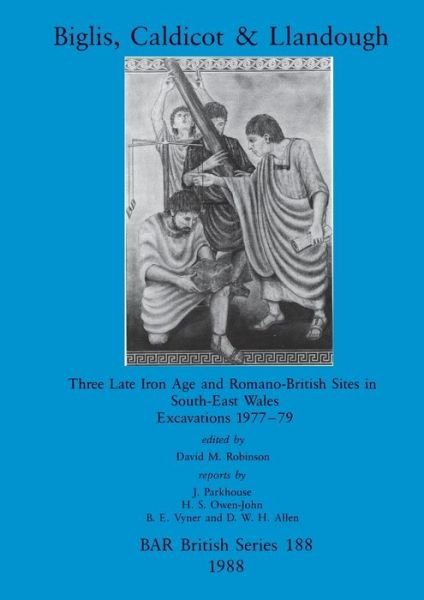 Cover for David M. Robinson · Biglis Caldicot and Llandough (British Archaeological Reports (BAR) International) (Paperback Bog) (1988)