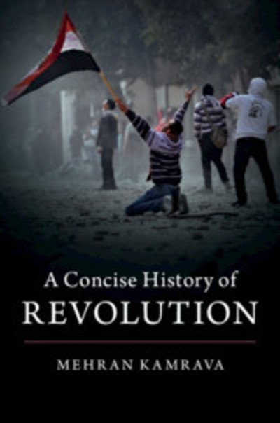 Cover for Mehran Kamrava · A Concise History of Revolution (Taschenbuch) (2019)