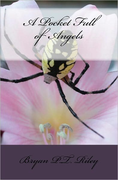 Cover for Bryan Riley · A Pocket Full of Angels (Paperback Bog) (2009)