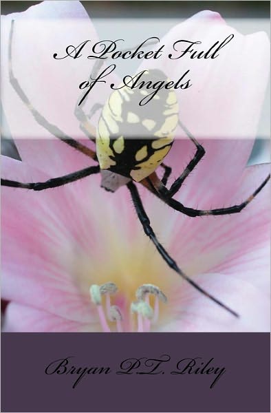 Cover for Bryan Riley · A Pocket Full of Angels (Paperback Book) (2009)