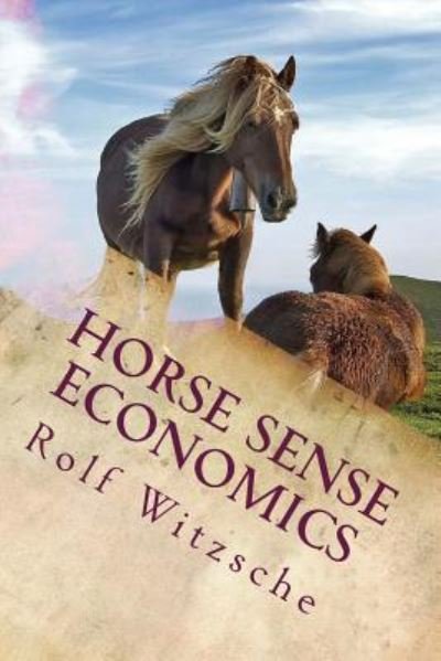 Cover for Rolf A. F. Witzsche · Horse Sense Economics : The Kaleidoscope Project (Paperback Book) (2016)