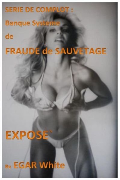 Serie de Complot Banque Systeme de Fraude de Sauvetage - E G a R White - Książki - Createspace Independent Publishing Platf - 9781532908385 - 23 kwietnia 2016