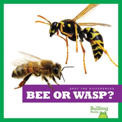 Bee or Wasp? - Adeline J Zimmerman - Books - Bullfrog Books - 9781636903385 - 2022