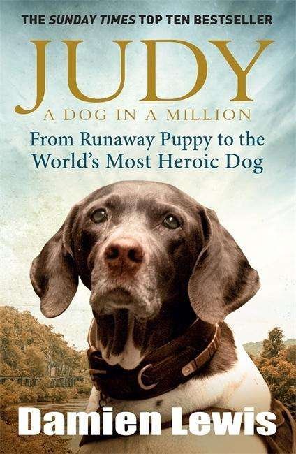 Cover for Damien Lewis · Judy: A Dog in a Million: From Runaway Puppy to the World's Most Heroic Dog (Paperback Bog) (2015)