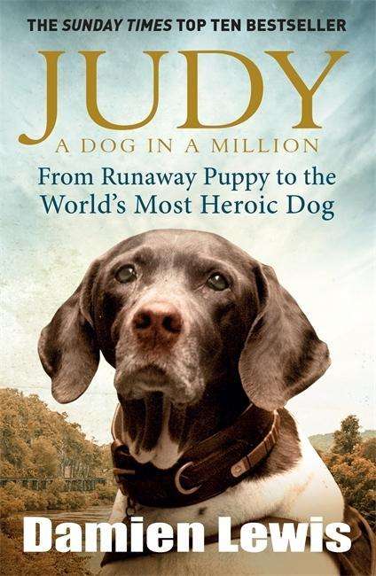 Judy: A Dog in a Million: From Runaway Puppy to the World's Most Heroic Dog - Damien Lewis - Books - Quercus Publishing - 9781848665385 - May 7, 2015