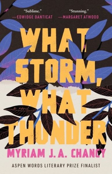 Cover for Tin House Books · What Storm, What Thunder (Paperback Bog) (2022)