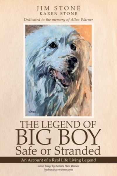 Cover for Jim Stone · The Legend of Big Boy Safe or Stranded (Paperback Book) (2021)