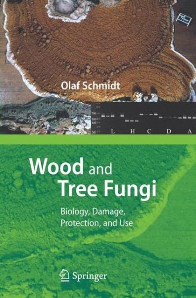 Cover for Olaf Schmidt · Wood and Tree Fungi: Biology, Damage, Protection, and Use (Gebundenes Buch) [2006 edition] (2006)
