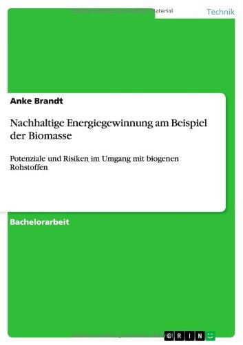 Nachhaltige Energiegewinnung am - Brandt - Books - GRIN Verlag - 9783656433385 - June 12, 2013
