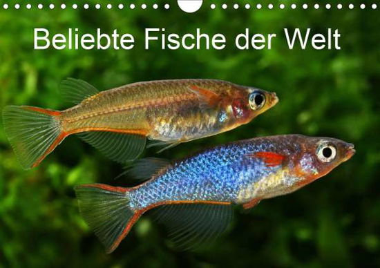 Beliebte Fische der Welt (Wand - Pohlmann - Książki -  - 9783671887385 - 