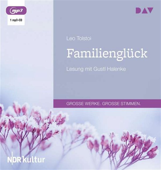 Cover for Leo Tolstoi · Familienglück (CD)
