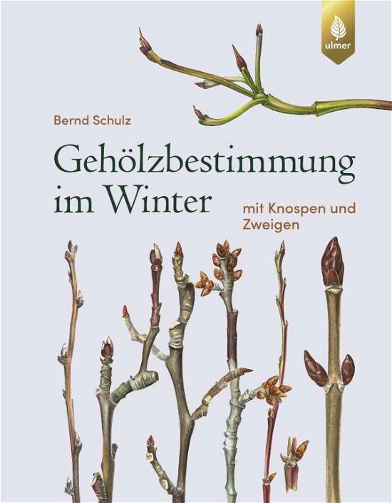 Cover for Schulz · Gehölzbestimmung im Winter (Book)