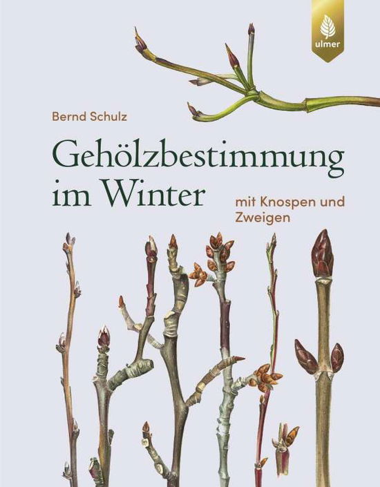 Gehölzbestimmung im Winter - Schulz - Książki -  - 9783818611385 - 