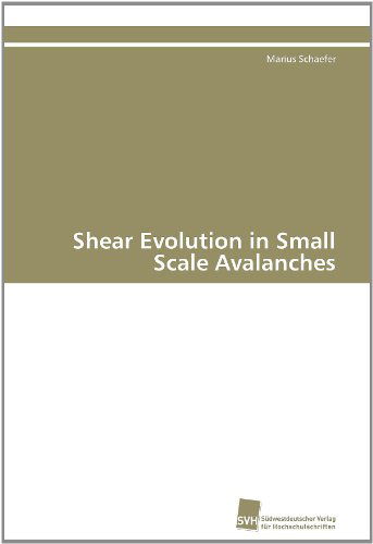 Cover for Marius Schaefer · Shear Evolution in Small Scale Avalanches (Paperback Book) [German edition] (2011)