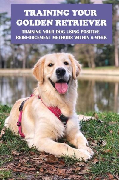 Cover for Keneth Vizcaino · Training Your Golden Retriever (Taschenbuch) (2021)