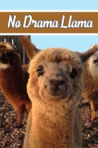 Cover for Llama Notebook Personalized Notebooks · No Drama Llama (Taschenbuch) (2020)