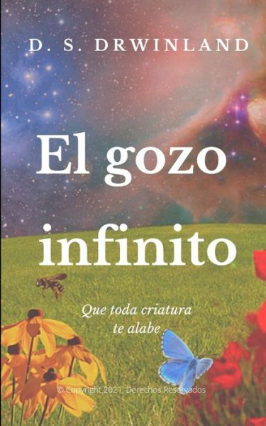 Cover for D S Drwinland · El Gozo Infinito (Pocketbok) (2021)