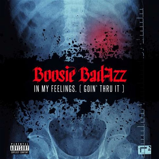 Cover for Boosie Badazz · In My Feelings (goin' Thru It) (CD) [Digipak] (2023)