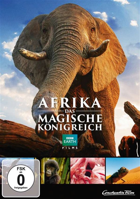 Cover for Keine Informationen · Afrika-das Magische Königreich (DVD) (2015)