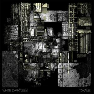 Tokage - White Darkness - Music - DENOVALI - 4024572461386 - October 21, 2011