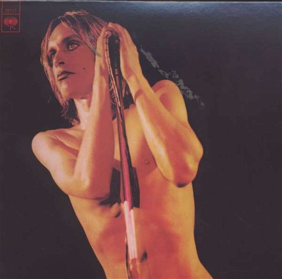Cover for Iggy &amp; The Stooges · Raw Power (CD) [Limited edition] (2007)
