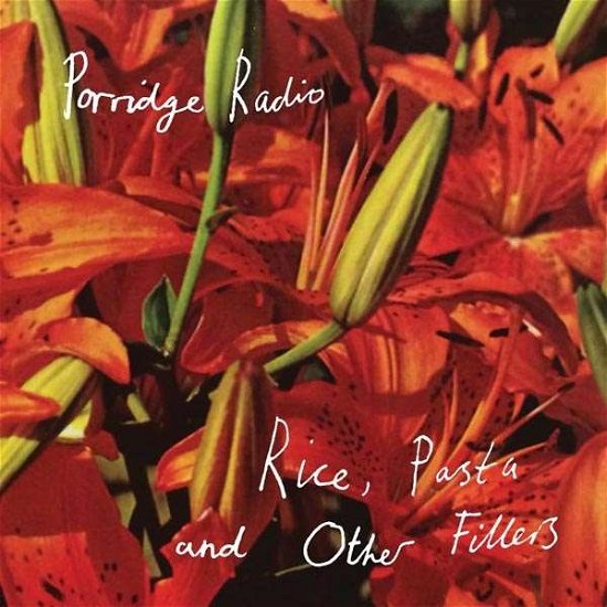 Cover for Porridge Radio · Rice, Pasta And Other Fillers (LP) [Coloured edition] (2020)