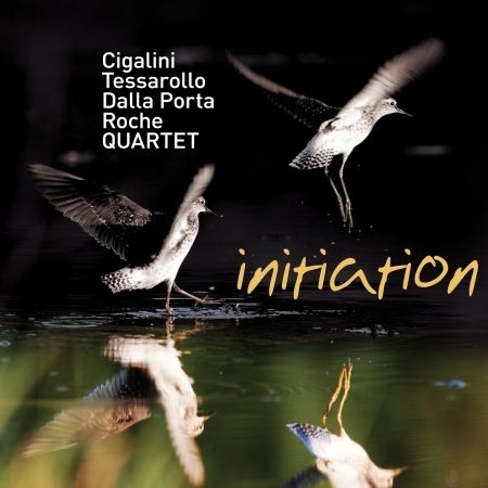 Cover for Cigalini / Tessarollo / Dalla Porta / Roche · Initiation (CD) (2014)