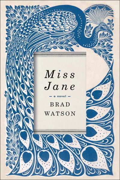 Miss Jane - A Novel - Brad Watson - Bücher -  - 9780393354386 - 11. Juli 2017