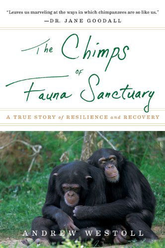 Cover for Andrew Westoll · The Chimps of Fauna Sanctuary: a True Story of Resilience and Recovery (Paperback Book) [Reprint edition] (2012)