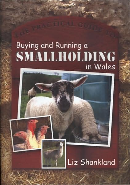 Cover for Liz Shankland · The Practical Guide to Buying and Running a Smallholding in Wales (Paperback Book) (2008)