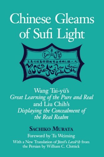 Cover for Sachiko Murata · Chinese Gleams of Sufi Light (Paperback Book) [1st edition] (2000)