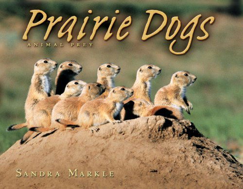 Cover for Sandra Markle · Prairie Dogs: Animal Prey (Hardcover Book) (2007)