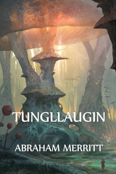 Cover for Abraham Merritt · Tungllaugin (Pocketbok) (2021)