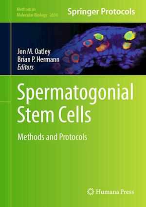 Cover for Jon Oatley · Spermatogonial Stem Cells (Book) (2023)