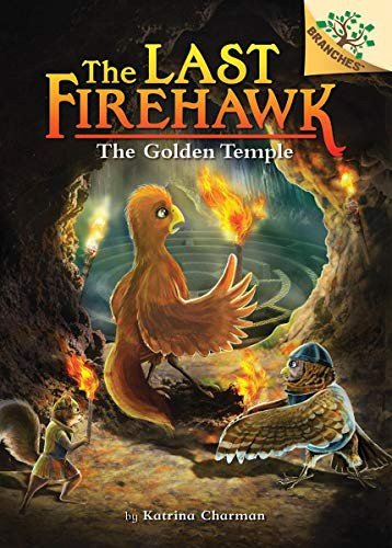 Cover for Katrina Charman · The Secret Maze: A Branches Book (The Last Firehawk #10) - The Last Firehawk (Inbunden Bok) (2021)