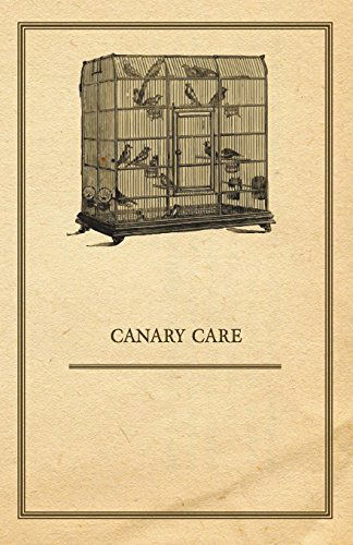 Cover for Anon · Canary Care (Paperback Book) (2011)