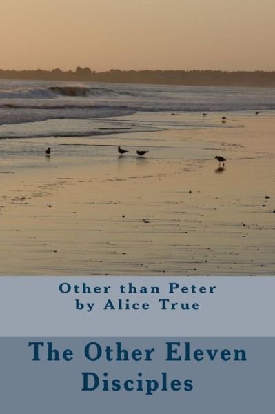 Cover for Rev Alice F True · The Other Eleven Disciples: : Other Than Peter (Pocketbok) (2014)
