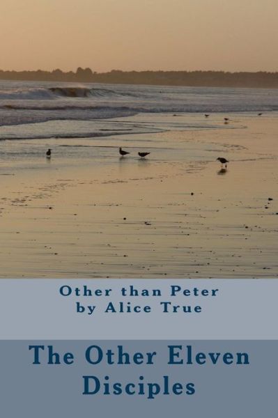 Cover for Rev Alice F True · The Other Eleven Disciples: : Other Than Peter (Paperback Book) (2014)