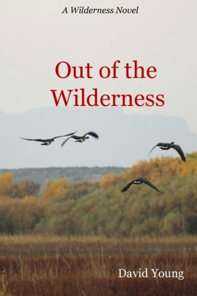 Out of the Wilderness (The Wilderness Series) (Volume 2) - David Young - Böcker - CreateSpace Independent Publishing Platf - 9781502582386 - 11 december 2014