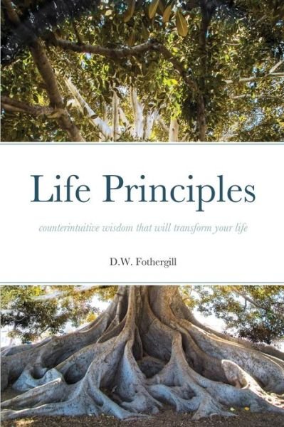 Cover for D W Fothergill · Life Principles (Pocketbok) (2021)