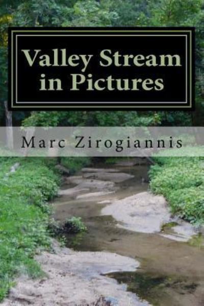 Cover for Marc A Zirogiannis · Valley Stream in Pictures (Paperback Book) (2018)