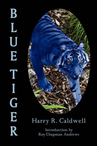 Cover for Caldwell, Harry, R. · Blue Tiger (Paperback Bog) (2007)